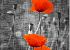 Remembrance - Trevor Unwin (Open)